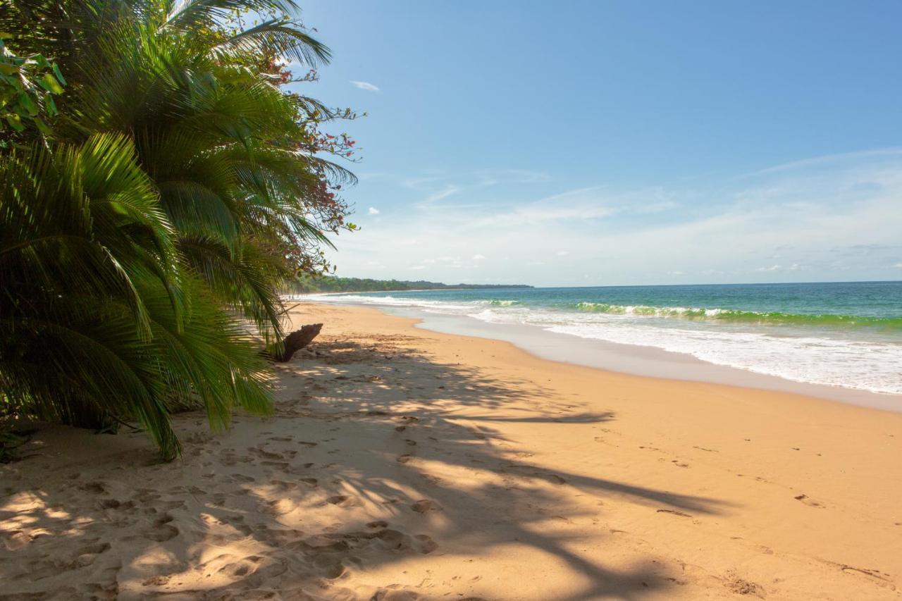 Отель La Coralina Island House Бокас-дель-Торо Экстерьер фото