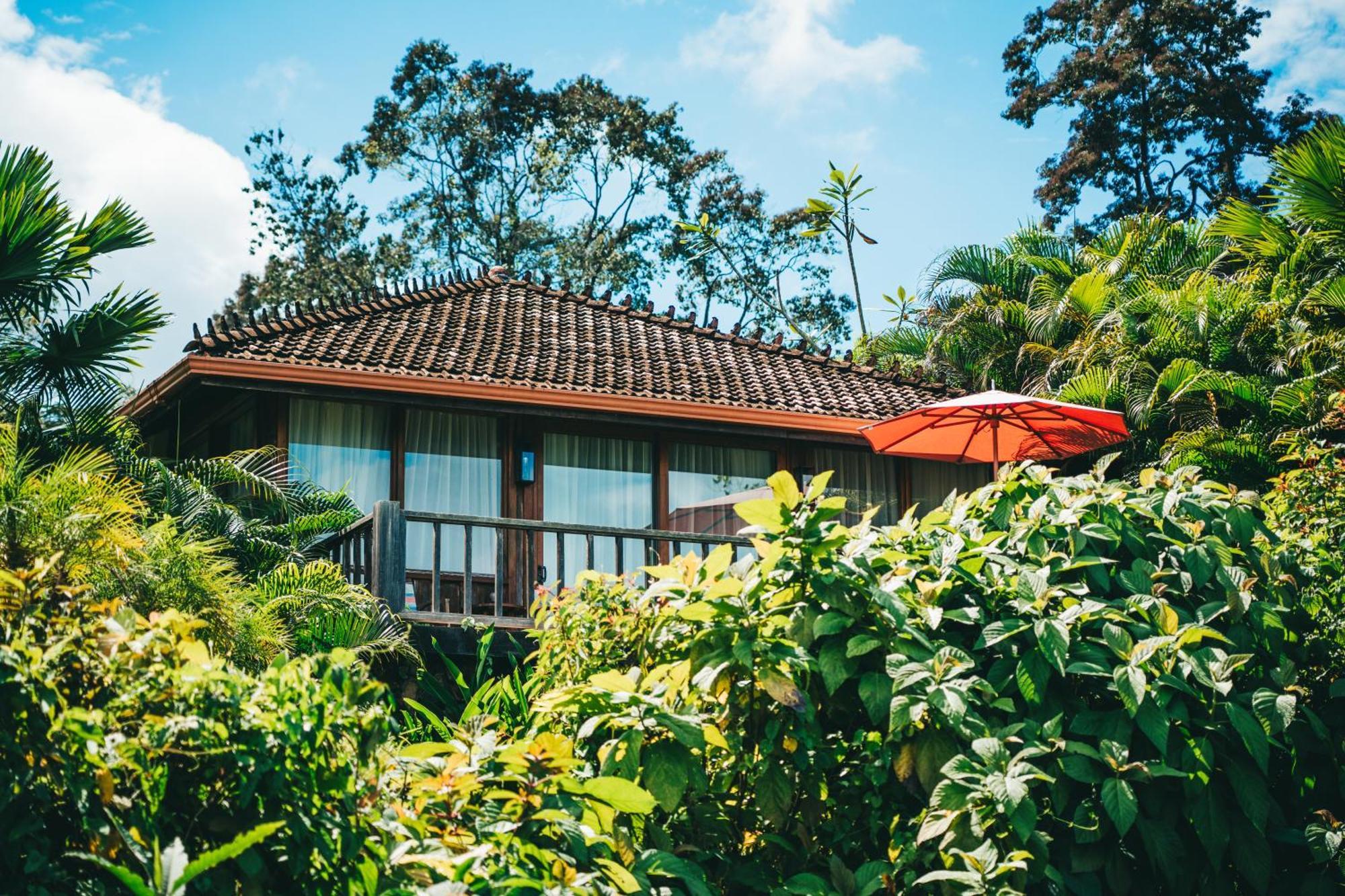 Отель La Coralina Island House Бокас-дель-Торо Экстерьер фото